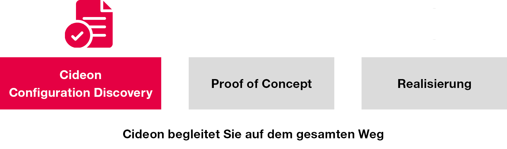 Cideon Configuration Discovery Workshop