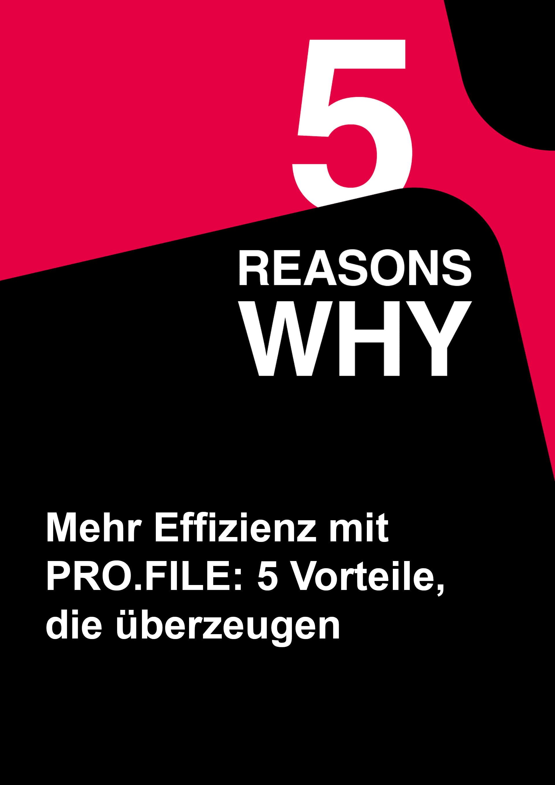 Cideon Reasons Why PRO.FILE