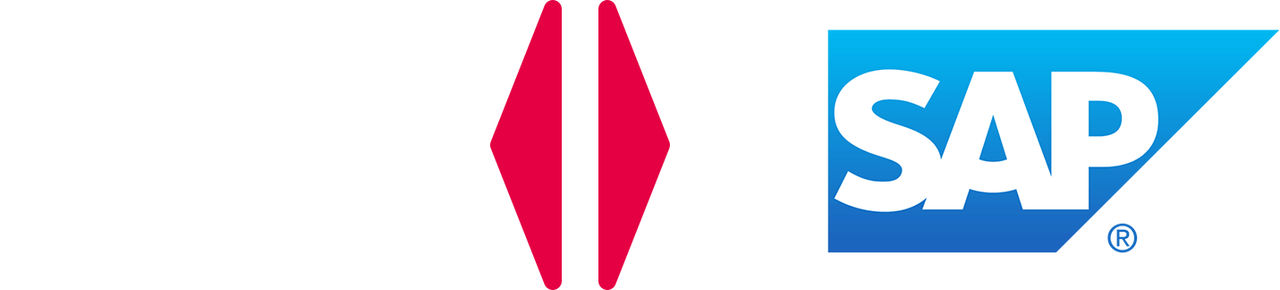 PRO.FILE - SAP Schnittstelle PDM verbinden