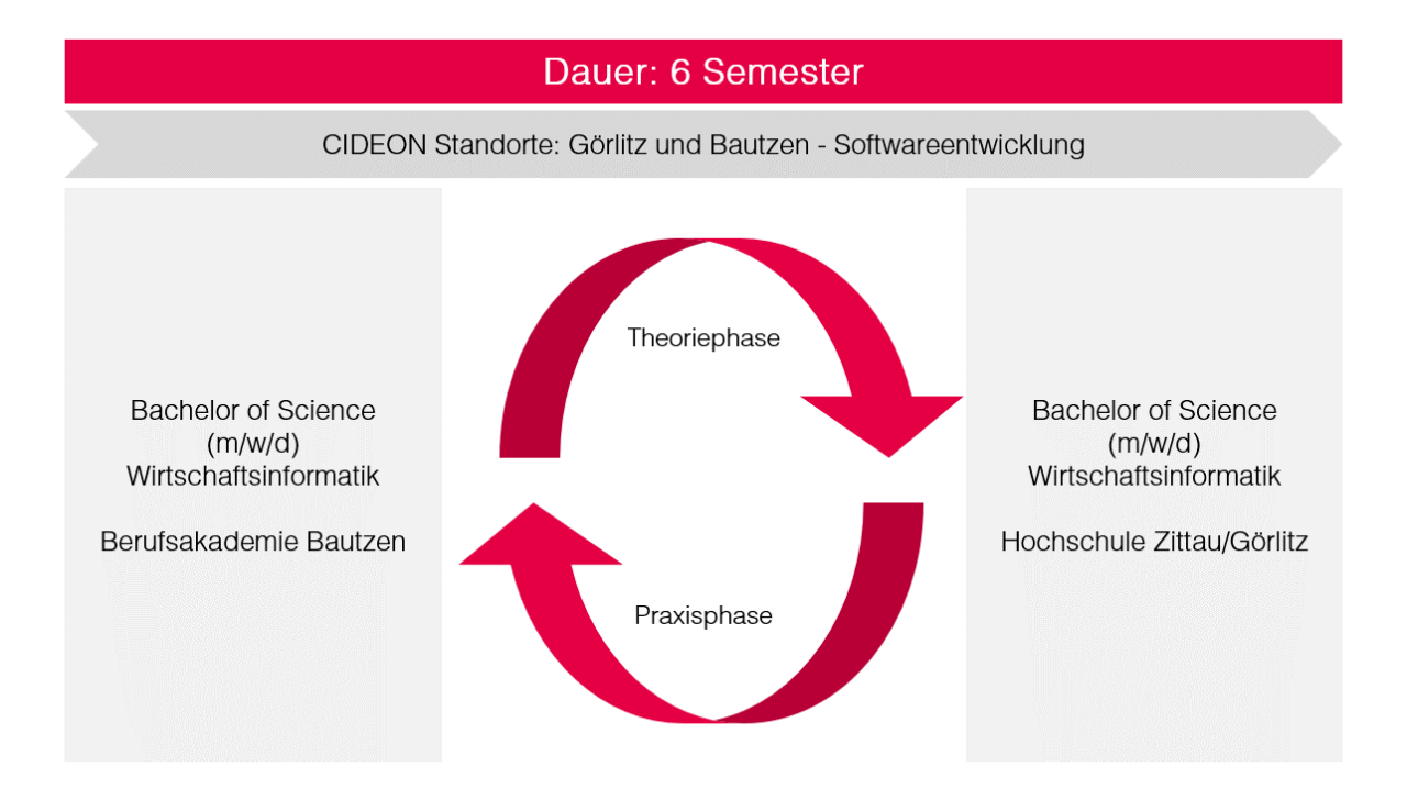 Ablauf des dualen Studiums bei CIDEON